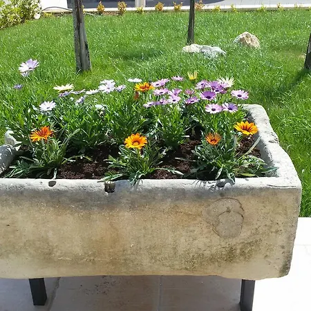 Helios Nocleg ze śniadaniem *