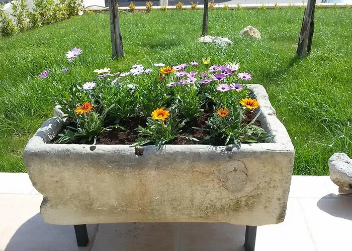 Helios לינה וארוחת בוקר *